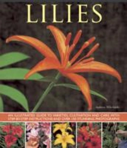 Bertrand.pt - Lilies