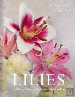 Bertrand.pt - Lilies