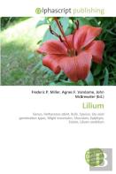 Lilium