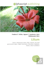 Lilium