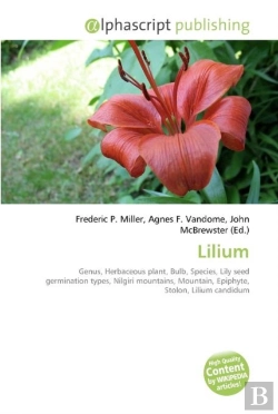 Bertrand.pt - Lilium