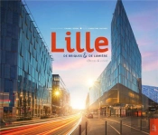 Lille ; De Briques Et De Lumière