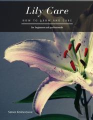 Lily Care