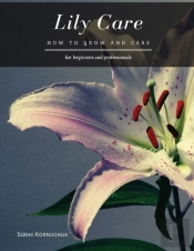Lily Care