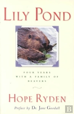 Bertrand.pt - Lily Pond