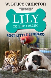 Lily To The Rescue: Lost Little Leopard