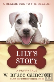 Lily'S Story