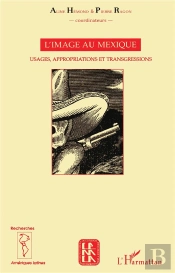 L'Image Au Mexique ; Usages Appropriations Et Transgressions
