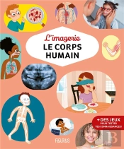 L'Imagerie : Le Corps Humain