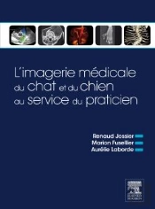 L'Imagerie Médicale Du Chien Et Du Chat Au Service Du Praticien