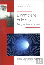 L'Immatériel Et Le Droit ; Perspectives Et Limites