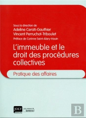 L'Immeuble Et Le Droit Des Procédures Collectives ; Pratique Des Affaires