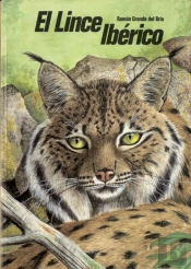 Lince Iberico El