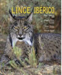 Lince-Ibérico