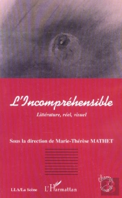 L'Incomprehensible ; Litterature, Reel, Visuel