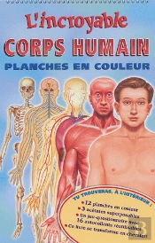 L'Incroyable Corps Humain