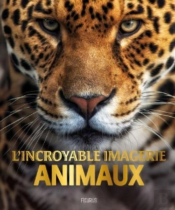 Bertrand.pt - L'Incroyable Imagerie Animaux