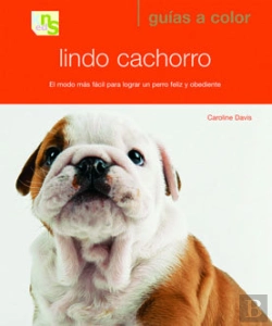 Bertrand.pt - Lindo Cachorro
