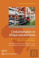 L'Industrialisation En Afrique Subsaharienne