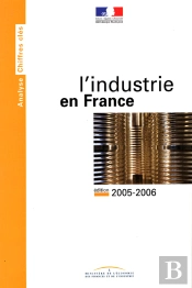 L'Industrie En France (Édition 2005-2006)