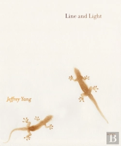 Bertrand.pt - Line And Light