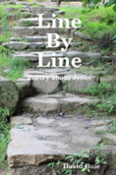Line By Line