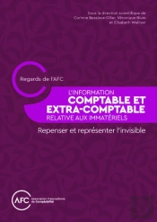 L'Information Comptable Et Extra-Comptable Relative Aux Immatériels : Repenser Et Représenter L'Invisible