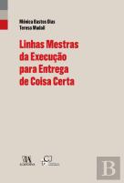 Linhas Mestras da Execução para Entrega de Coisa Certa