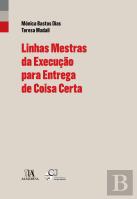 Linhas Mestras da Execução para Entrega de Coisa Certa