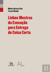 Linhas Mestras da Execução para Entrega de Coisa Certa