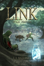 Link