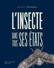 L'Insecte Dans Tous Ses Etats