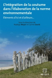 L'Intégration De La Coutume Dans L'Élaboration De La Norme Envineronnementale : Éléments D'Ici Et D'Ailleurs...