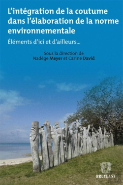 Bertrand.pt - L'Intégration De La Coutume Dans L'Élaboration De La Norme Envineronnementale : Éléments D'Ici Et D'Ailleurs...