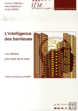 Bertrand.pt - L'Intelligence Des Banlieues ; Les Réseaux Pour Sortir De La Crise