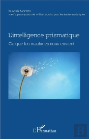L'Intelligence Prismatique ; Ce Que Les Machines Nous Envient