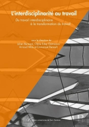 L'Interdisciplinarité Au Travail