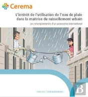 L'Intérêt De L'Utilisation De L'Eau De Pluie Dans La Maîtrise Du Ruissellement Urbain ; Les Enseignements D'Un Panorama International
