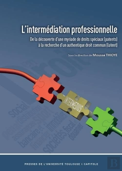 Bertrand.pt - L'Intermediation Professionnelle - De La Decouverte D'Une Myriade De Droits Speciaux (Patents) A La