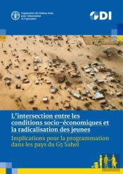 L'Intersection Entre Les Conditions Socio-Economiques Et La Radicalisation Des Jeunes