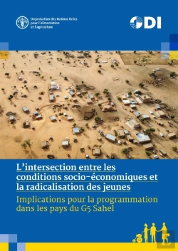 Bertrand.pt - L'Intersection Entre Les Conditions Socio-Economiques Et La Radicalisation Des Jeunes