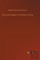 Lion And Dragon In Northern China