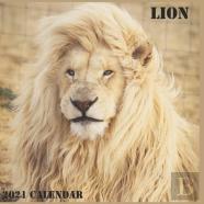 Lion Calendar 2021