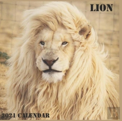 Bertrand.pt - Lion Calendar 2021