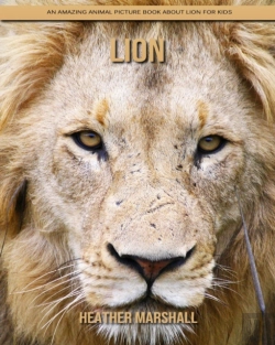 Bertrand.pt - Lion