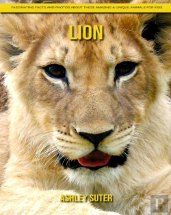 Bertrand.pt - Lion