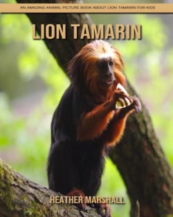 Bertrand.pt - Lion Tamarin