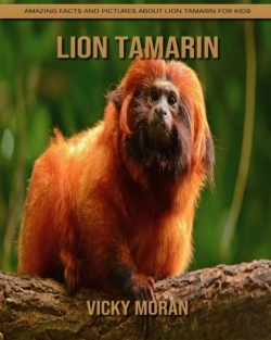 Bertrand.pt - Lion Tamarin