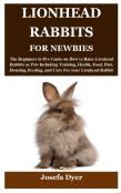 Lionhead Rabbits For Newbies