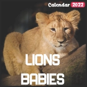 Lions Babies Calendar 2022